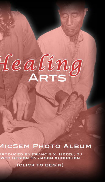 The Healing Arts